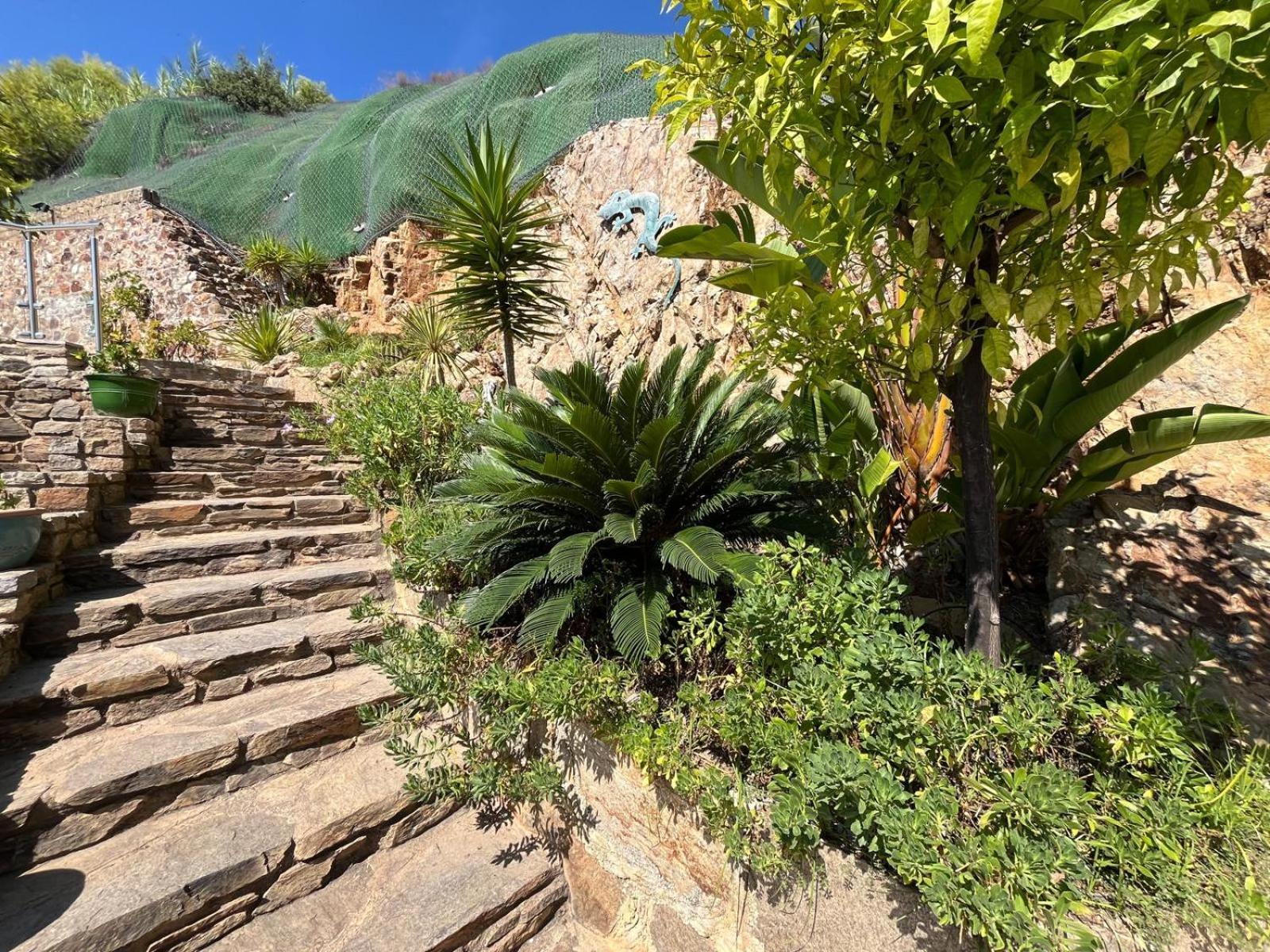 Meuble Tourisme 4*, Les Pieds Dans L'Eau, Villa Las Palmeras La Londe-les-Maures Exteriér fotografie
